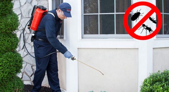 Dursunbey Kene İlaçlama böcek ilaçlama ve haşere kontrolü — ilaclama-tr.com